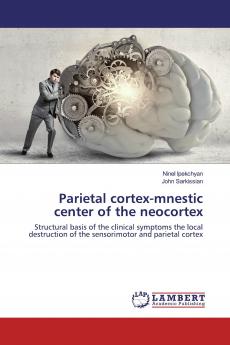 Parietal cortex-mnestic center of the neocortex