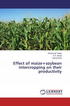 Effect of maize+soybean intercropping on their productivity