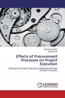 Effects of Procurement Processes on Project Execution
