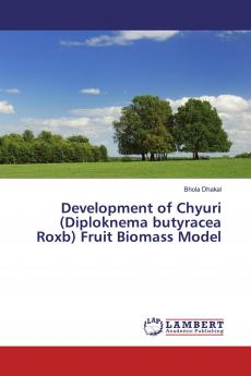 Development of Chyuri (Diploknema butyracea Roxb) Fruit Biomass Model