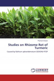 Studies on Rhizome Rot of Turmeric