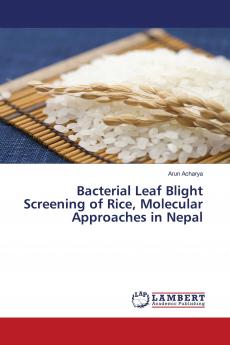 Bacterial Leaf Blight Screening of Rice Molecular Approaches in Nepal