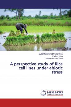 A perspective study of Rice cell lines under abiotic stress
