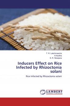 Inducers Effect on Rice Infected by Rhizoctonia solani