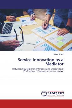 Service Innovation as a Mediator
