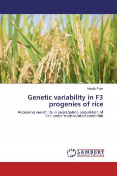 Genetic variability in F3 progenies of rice