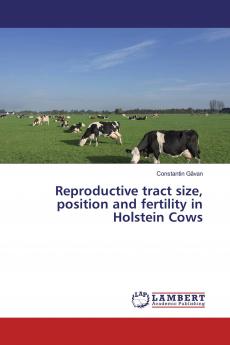 Reproductive tract size position and fertility in Holstein Cows