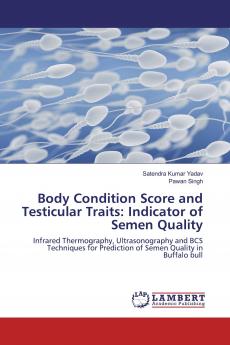 Body Condition Score and Testicular Traits