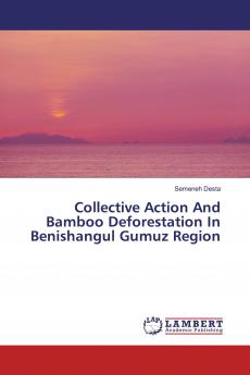 Collective Action And Bamboo Deforestation In Benishangul Gumuz Region