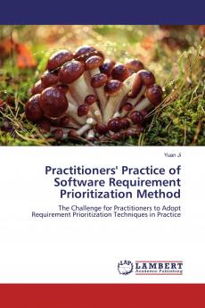 Practitioners' Practice of Software Requirement Prioritization Method