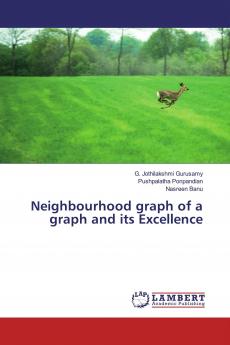 Neighbourhood graph of a graph and its Excellence