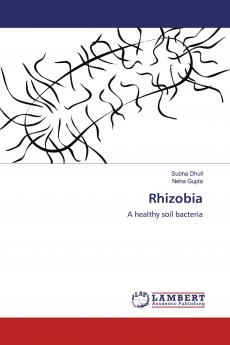 Rhizobia