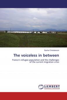 The voiceless in between