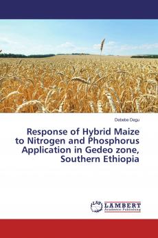 Response of Hybrid Maize to Nitrogen and Phosphorus Application in Gedeo zone Southern Ethiopia