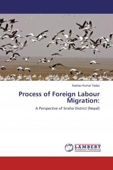 Process of Foreign Labour Migration
