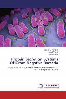 Protein Secretion Systems Of Gram Negative Bacteria