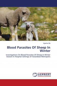 Blood Parasites Of Sheep In Winter