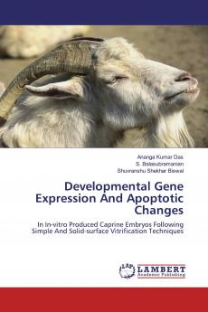Developmental Gene Expression And Apoptotic Changes