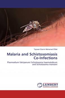 Malaria and Schistosomiasis Co-Infections