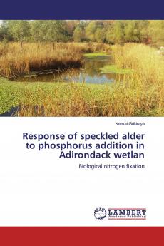 Response of speckled alder to phosphorus addition in Adirondack wetlan