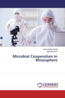 Microbial Cooperation in Rhizosphere