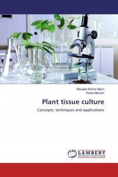 Plant tissue culture