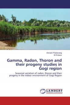 Gamma Radon Thoron and their progeny studies in Gogi region