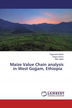 Maize Value Chain analysis in West Gojjam Ethiopia