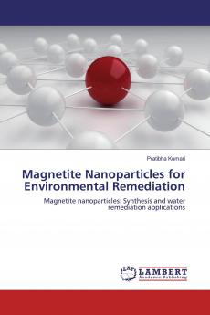 Magnetite Nanoparticles for Environmental Remediation