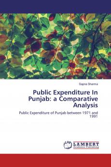 Public Expenditure In Punjab