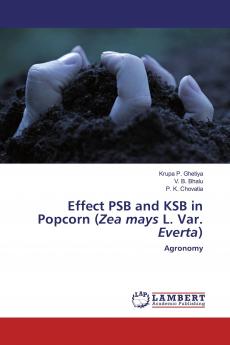 Effect PSB and KSB in Popcorn (Zea mays L. Var. Everta)