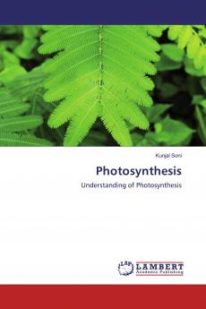 Photosynthesis