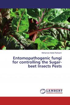 Entomopathogenic fungi for controlling the Sugar-beet Insects Pests