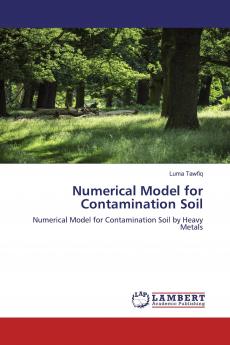 Numerical Model for Contamination Soil