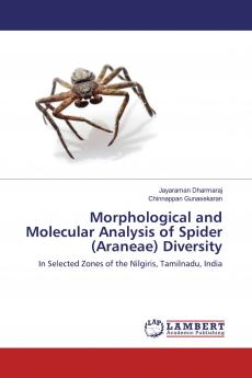 Morphological and Molecular Analysis of Spider (Araneae) Diversity