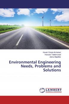 Environmental Engineering Needs Problems and Solutions