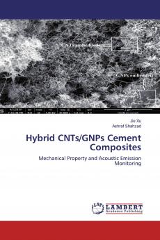 Hybrid CNTs/GNPs Cement Composites