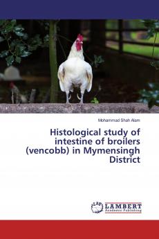 Histological study of intestine of broilers (vencobb) in Mymensingh District