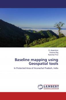 Baseline mapping using Geospatial tools