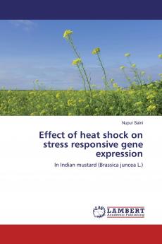 Effect of heat shock on stress responsive gene expression
