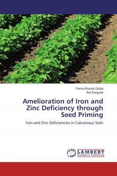 Amelioration of Iron and Zinc Deficiency through Seed Priming