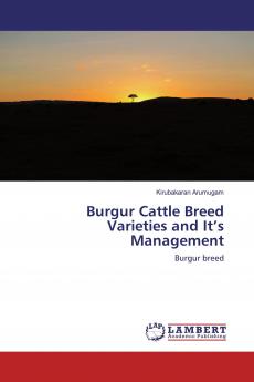 Burgur Cattle Breed Varieties and It���s Management