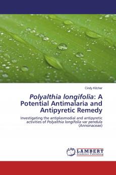 Polyalthia longifolia