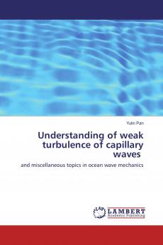 Understanding of weak turbulence of capillary waves ���