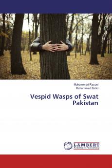 Vespid Wasps of Swat Pakistan