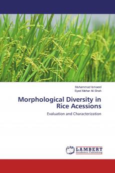 Morphological Diversity in Rice Acessions