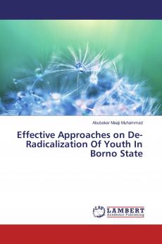 Effective Approaches on De- Radicalization Of Youth In Borno State
