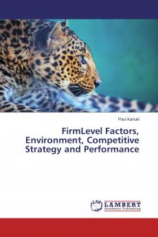 FirmLevel Factors Environment Competitive Strategy and Performance
