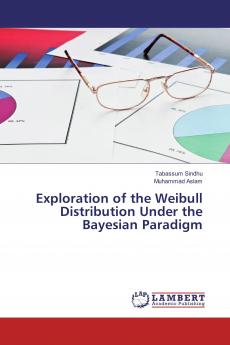 Exploration of the Weibull Distribution Under the Bayesian Paradigm