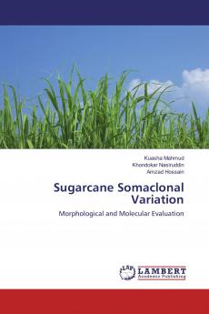 Sugarcane Somaclonal Variation